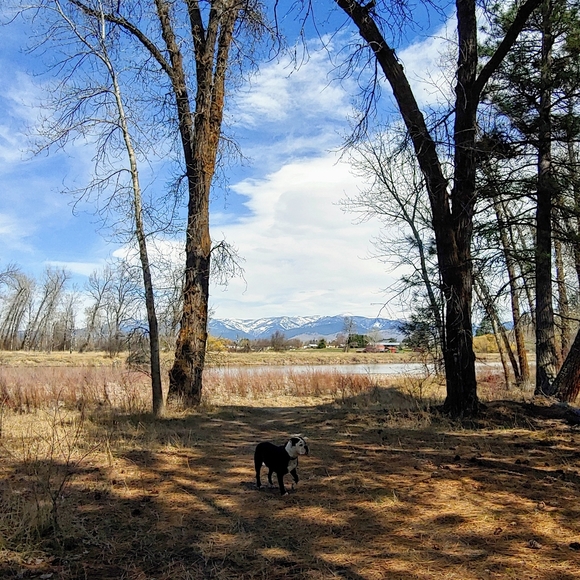 Meet your Posher, Maggie - Picture 6 of 6